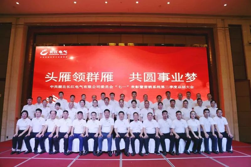 头雁领群雁 共圆事业梦 |中共湖北威廉希尔足球官网有限公司委员会“七一”表彰大会隆重召开