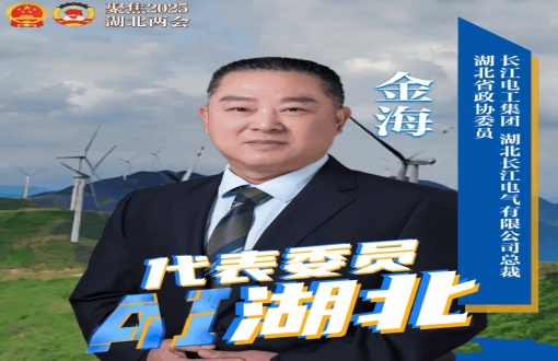 湖北省政协常委、威廉希尔足球官网总裁金海：将湖北建成中部智慧能源应用示范标杆